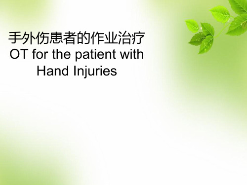 手外伤患者的作业治疗 PPT