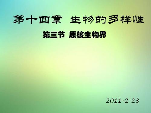 北京版生物八年级下册14.3《原核生物界》