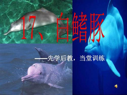 湘教版_五年级_语文上册__《白鳍豚》第二课时