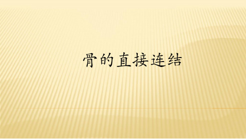 骨连结概述