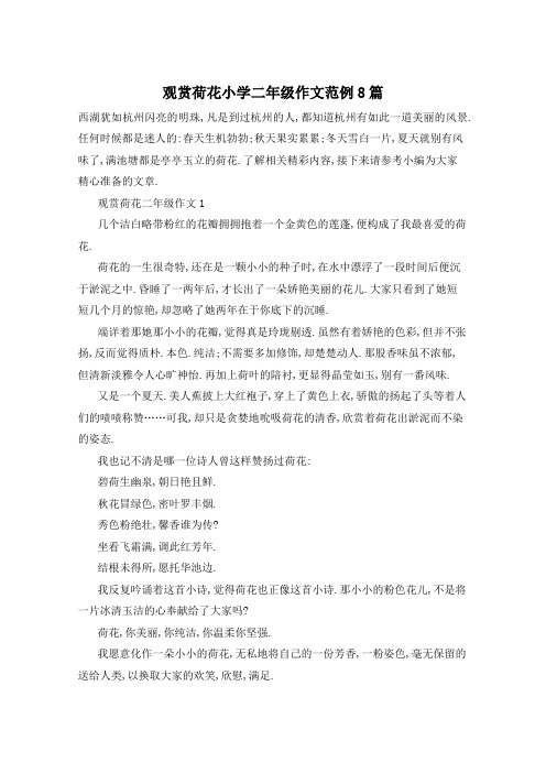 观赏荷花小学二年级作文范例8篇