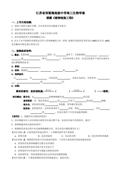 植物细胞工程高三一轮