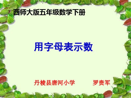 用字母表示数(计算公式)
