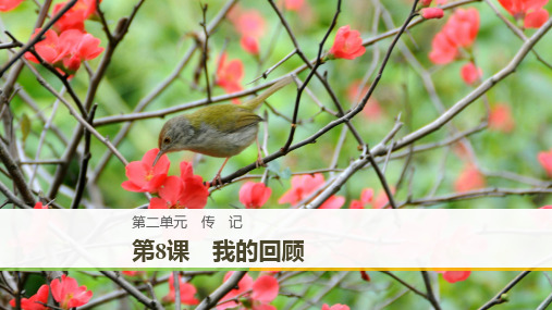 粤教版高中语文必修1课件：2.8 我的回顾(共52张PPT)