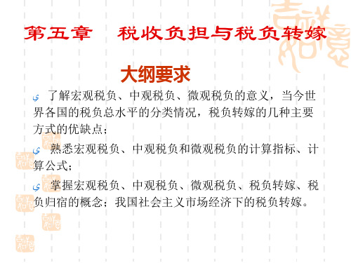 第五章税收负担与税负转嫁.pptx