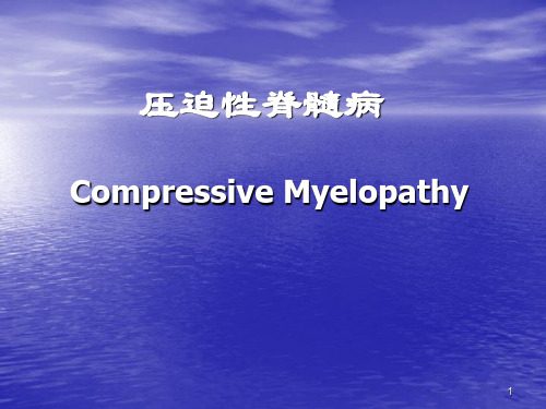 【医学课件】压迫性脊髓病-