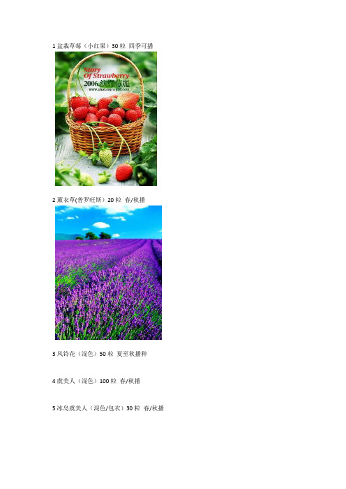 各种品种的花种子