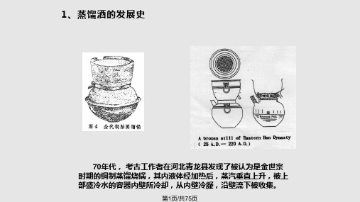 白酒蒸馏下载PPT课件