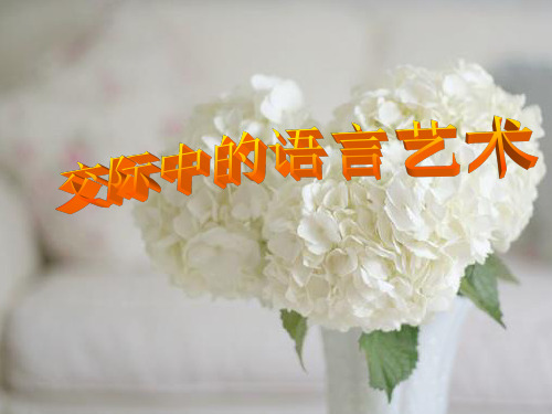 交际中的语言艺术