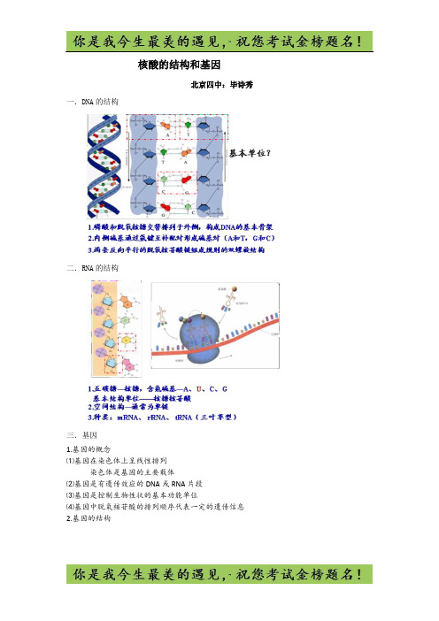 北京市第四中学高考生物总复习例题讲解：核酸的结构和基因生物