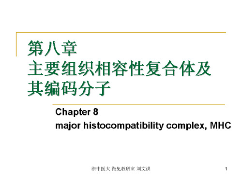 医学免疫学第八章 主要组织相容性复合体及其编码分子