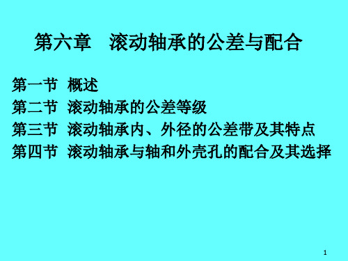 滚动轴承的公差与配合