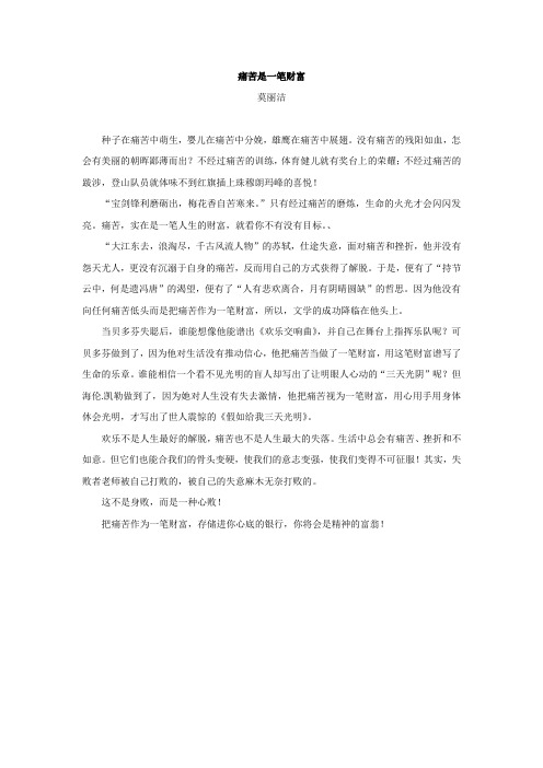 痛苦是一笔财富