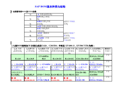 SAP命名介绍