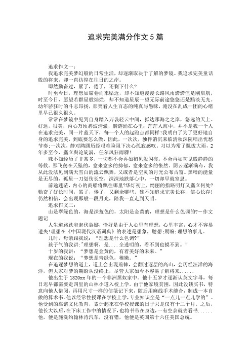 追求完美满分作文5篇
