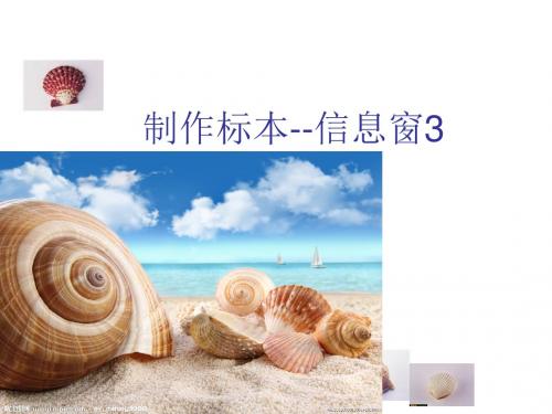 二年级数学上册 第七单元《制作标本 表内除法》(信息