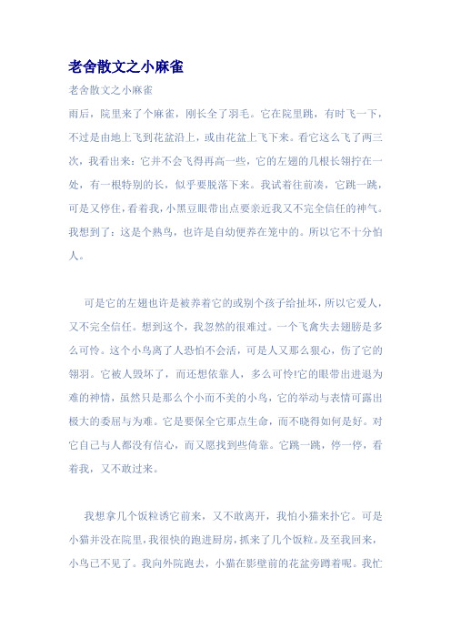老舍散文之小麻雀