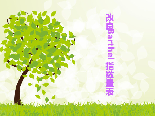 改良Barthel指数PPT课件