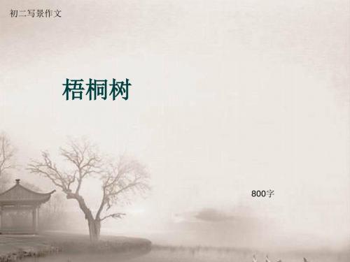 初二写景作文《梧桐树》800字(总12页PPT)