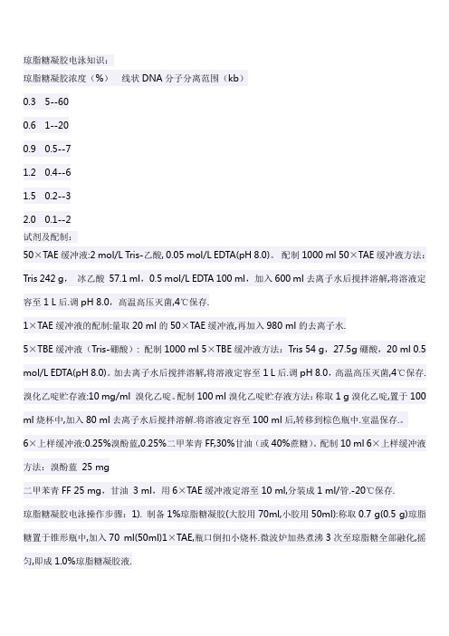 电泳知识