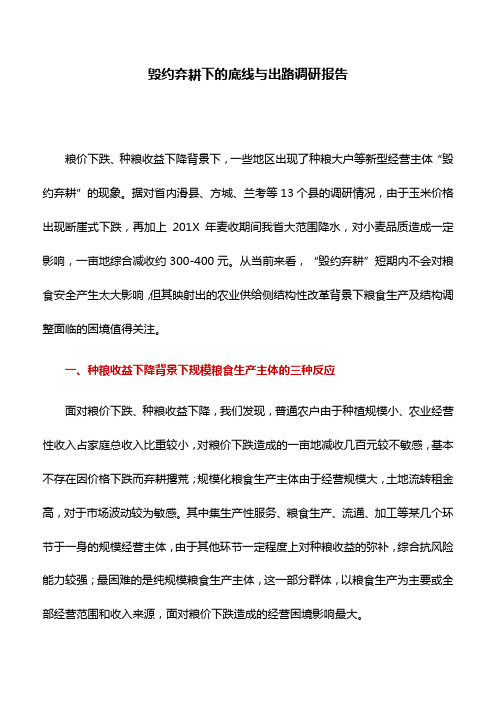 调研报告：毁约弃耕下的底线与出路调研报告