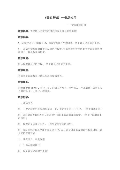 《美的奥秘》