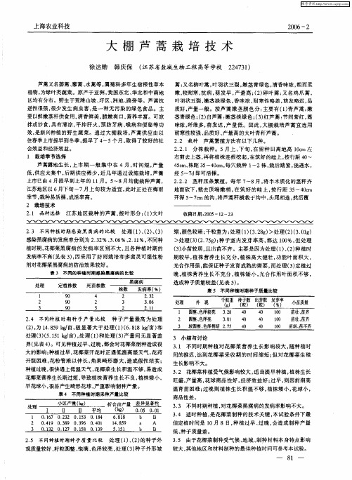 大棚芦蒿栽培技术