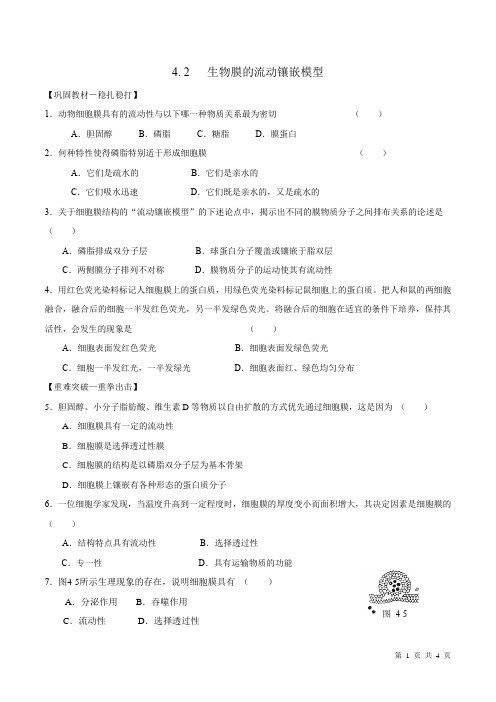 生物膜的流动镶嵌模型