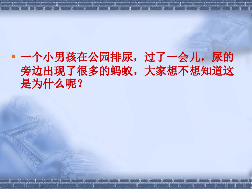 北师大版七下生物 11.2尿的形成与排出 课件   (共21张PPT)