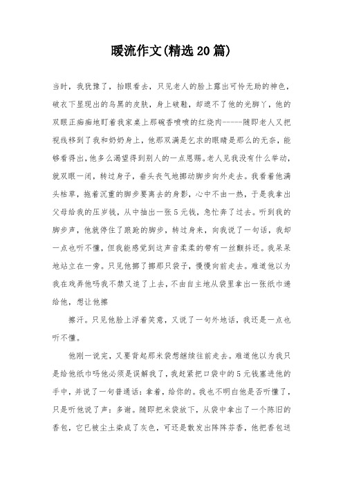 暖流作文(精选20篇)