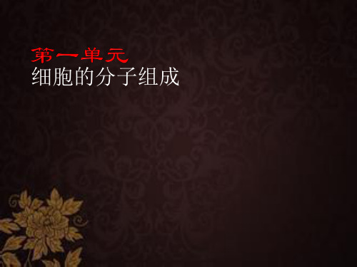 生物：高三一轮复习全套课件(必修1、2、3)(原创)人教版 PPT