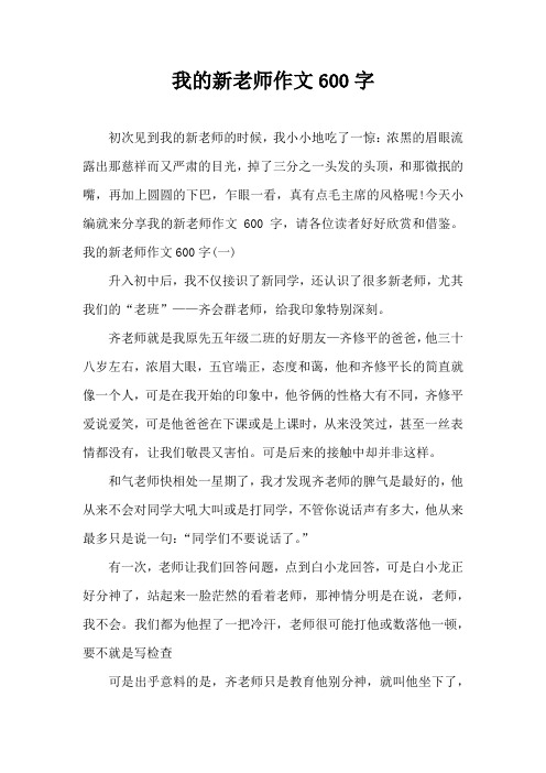 我的新老师作文600字