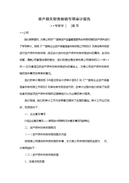 资产损失财务核销专项审计报告