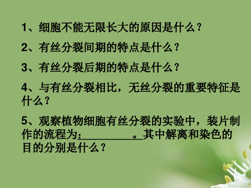 细胞的分化、衰老和凋亡、癌变ppt 人教课标版精选教学PPT课件