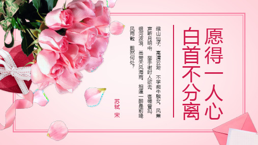 玫瑰花背景的七夕情人节PPT模板2套