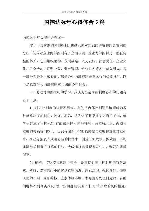 心得体会 内控达标年心得体会5篇