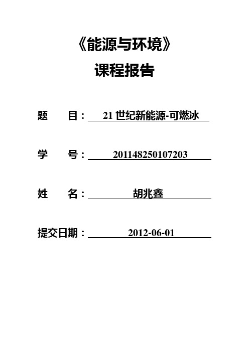 21世纪新能源-可燃冰