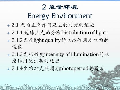 2 能量环境