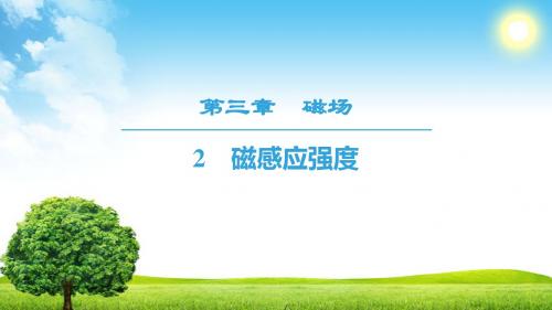 2018-2019学年人教版选修3-1   第3章 2 磁感应强度  课件(33张)