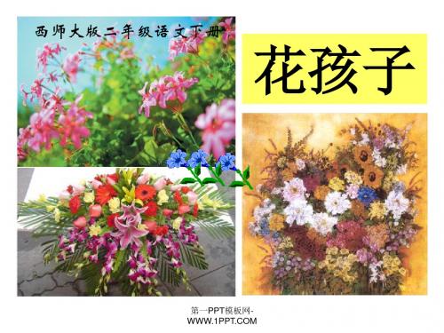 《花孩子》PPT课件 (共17张PPT)