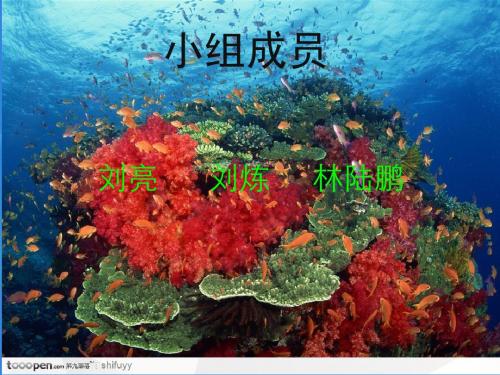 环境保护课件