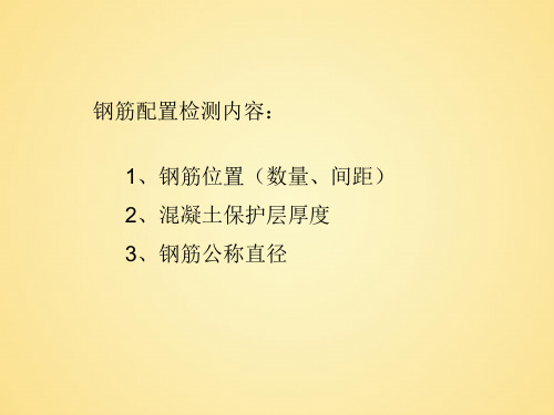 混凝土中钢筋配置检测
