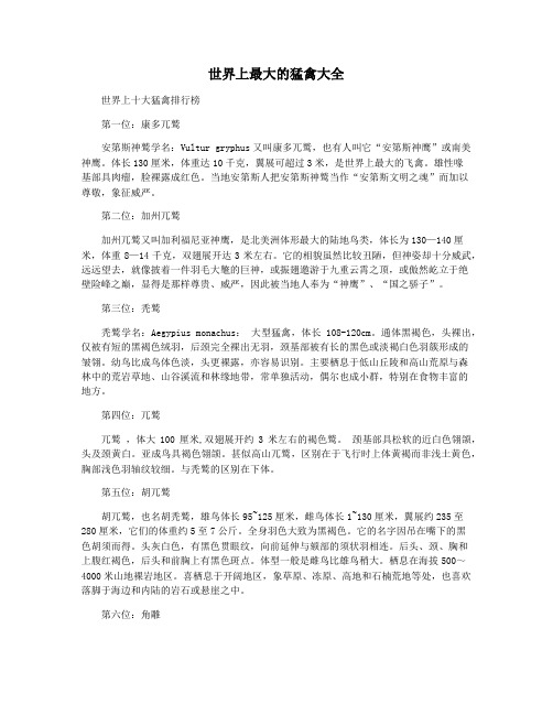 世界上最大的猛禽大全