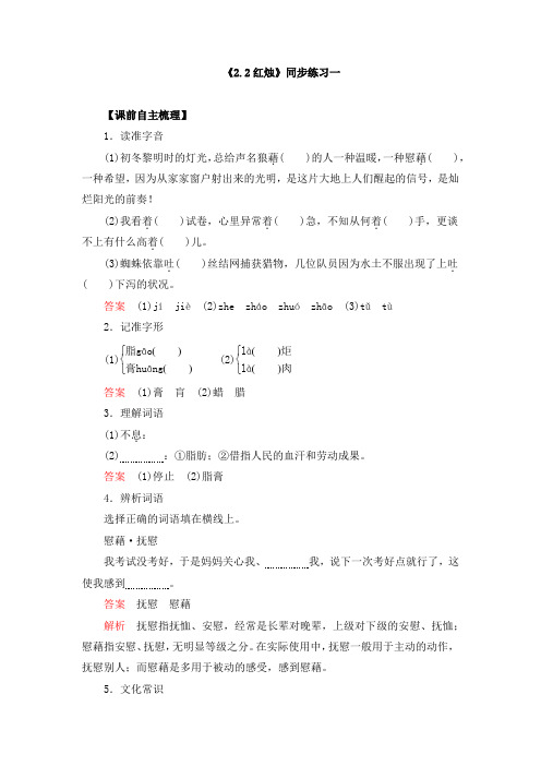 《2.2 红烛》同步练习及答案(共两套)
