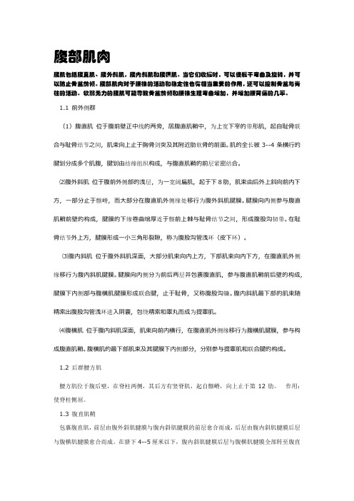 腹部肌肉介绍