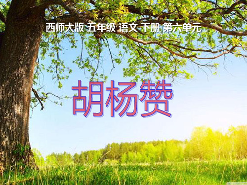 西师大版五年级语文下册《胡杨赞》PPT课件(4篇)