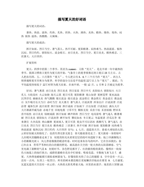 描写夏天的好词语
