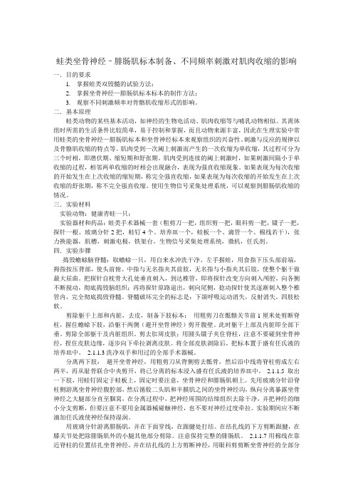 解剖实验报告