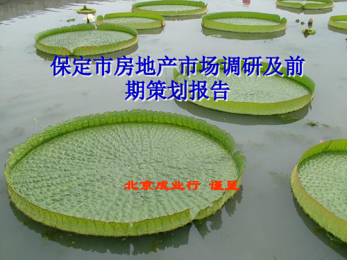 保定房地产市场研究144112325