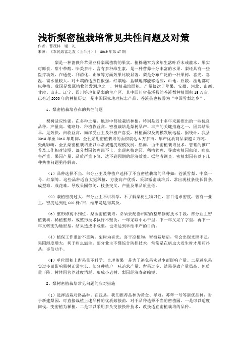 浅析梨密植栽培常见共性问题及对策